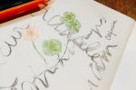Observations et Dessins