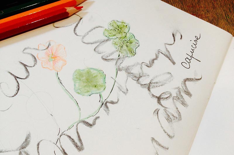 Observations et Dessins