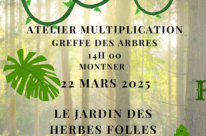 Atelier greffe des&nbsp;arbres