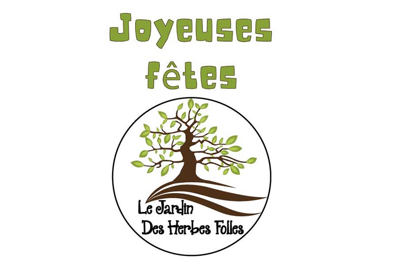 ✨Joyeuses fêtes !!
