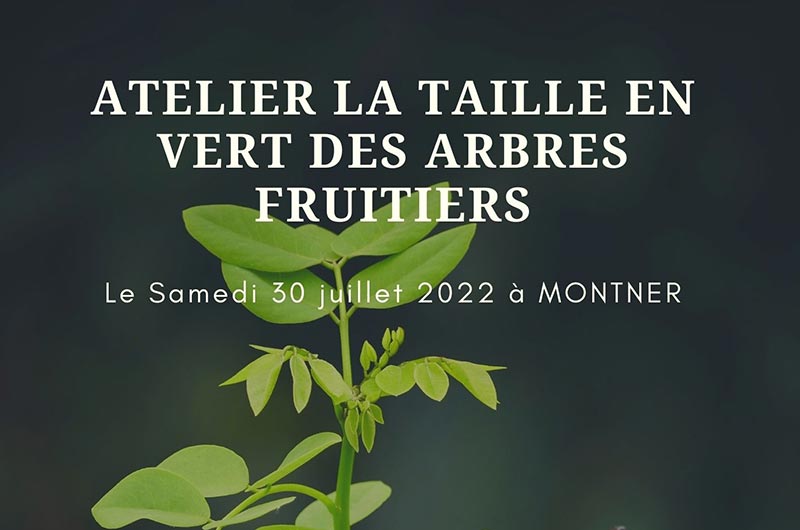 Atelier Taille en&nbsp;Vert