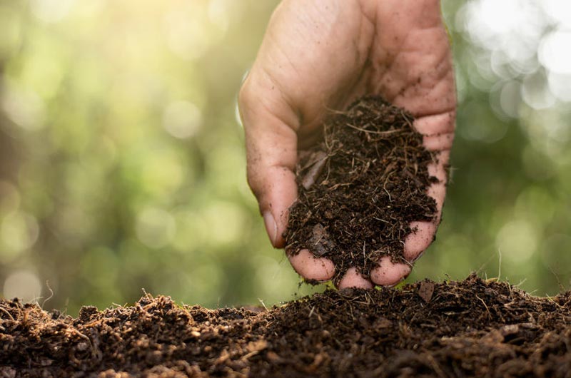 Produire son Terreau