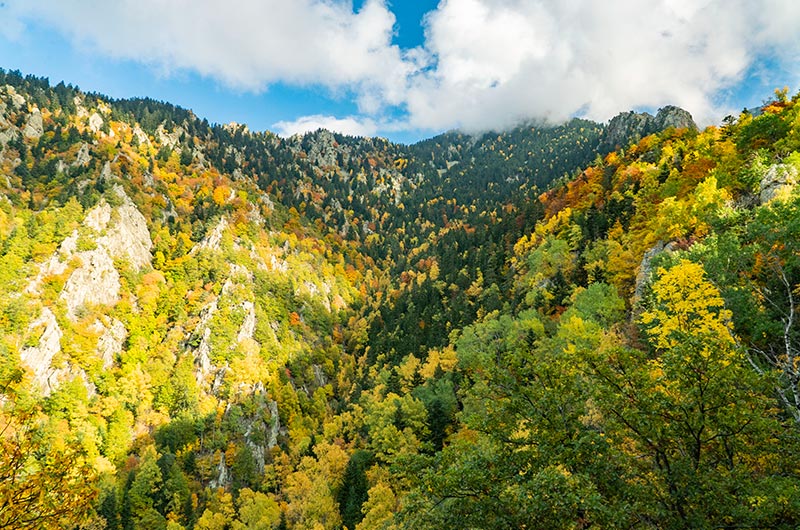 L&rsquo;automne est là&nbsp;!!!