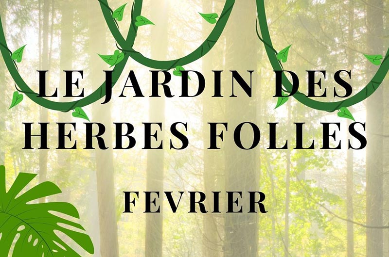 La multiplication des arbres&nbsp;!