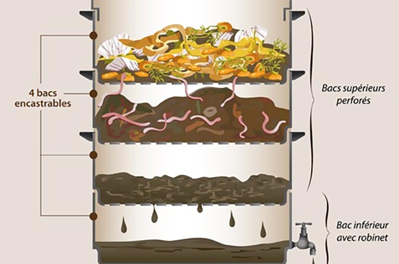 Festival Terre Sauvage