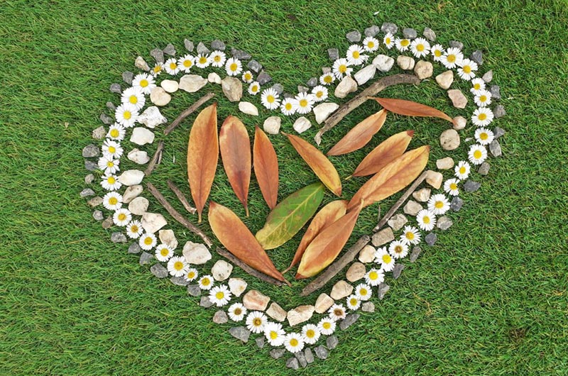 Les J.H.F. en&nbsp;Novembre