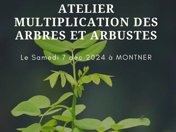 Décembre 2024 au&nbsp;J.H.F.