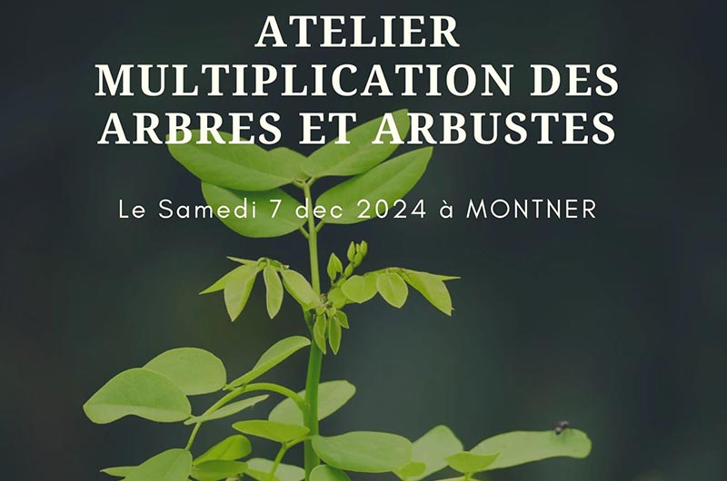 Décembre 2024 au&nbsp;J.H.F.