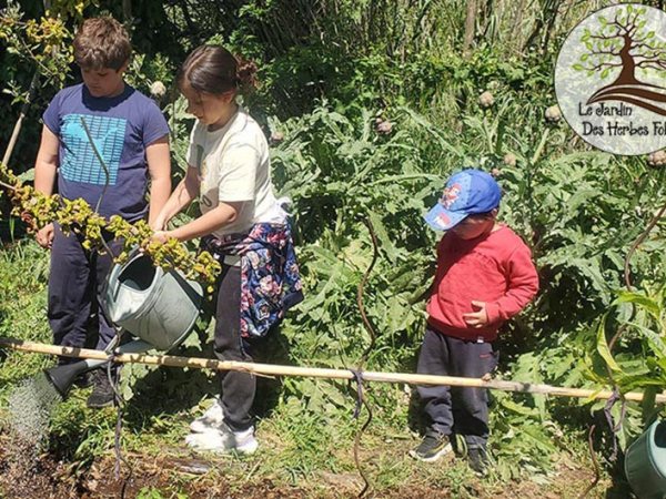 News du J.H.F. – Mai&nbsp;2025