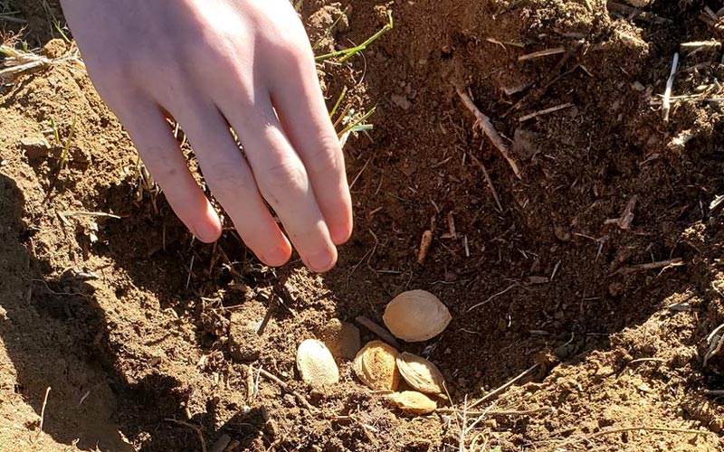 C&rsquo;est la rentrée…&nbsp;!!!